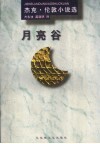 月亮谷 封面