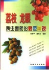荔枝、龙眼病虫害防治彩色图说 封面