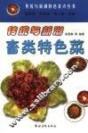 传统与新潮畜类特色菜 封面