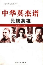 中华英杰谱  卷9  民族英雄 封面