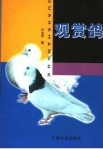 观赏鸽 封面
