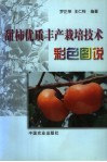 甜柿优质丰产栽培技术彩色图说 封面