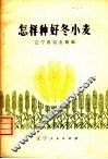 怎样种好冬小麦 封面