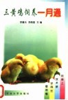 三黄鸡饲养一月通 封面