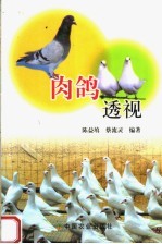 肉鸽透视 封面
