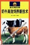 奶牛高效饲养新技术 封面