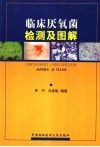 临床厌氧菌检测及图解 封面