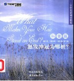 怒发冲冠为哪桩？ 封面