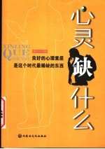 心灵缺什么 封面