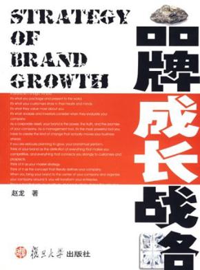 品牌成长战略 封面