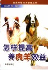 怎样提高养肉羊效益 封面