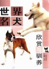 世界名犬欣赏与驯养 封面