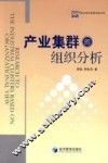 产业集群的组织分析 封面