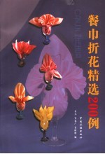 餐巾折花精选200例 封面