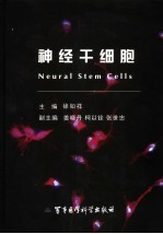 神经干细胞 封面