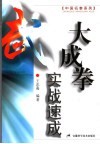 大成拳实战速成 封面