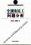 中国农民工问题分析 封面
