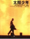 太阳少年  《阳光灿烂的日子》读解 封面