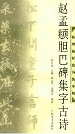 赵孟俯胆巴碑集字古诗 封面