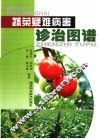 蔬菜疑难病害诊治图谱 封面