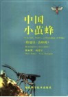 中国小茧蜂 膜翅目：茧蜂科 Hymenoptera：braconidae 封面