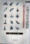云南牙形类动物群  相关生物地层及生物地理区研究 封面