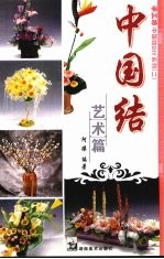 中国结  艺术篇 封面