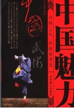 中国武术  内练一口气  外练筋骨皮 封面