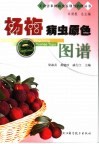 杨梅病虫原色图谱 封面