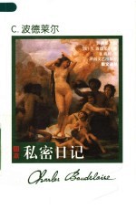 私密日记 封面