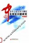 中国多重工业化水平测度及相关问题研究 封面