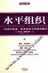 水平组织  一种简约有效、最具竞争力的组织模式 封面