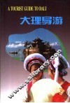 大理导游 封面