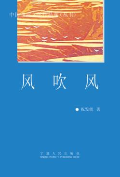 风吹风 封面