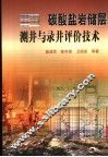 碳酸盐岩储层测井与录井评价技术 封面