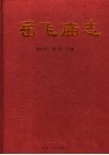 岳飞庙志 封面