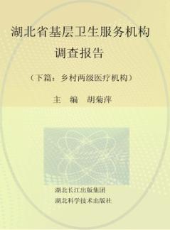 湖北省基层卫生服务机构调查报告  下  乡村两级医疗机构 封面