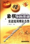 象棋制胜图谱  实战短局精彩杀势 封面