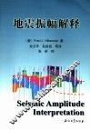 地震振幅解释 封面