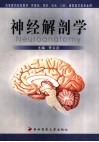 神经解剖学 封面