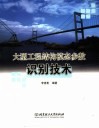 大型工程结构模态参数识别技术 封面