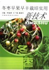 冬枣早果早丰栽培实用新技术 封面