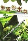美丽的水草 封面
