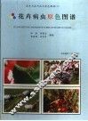 花卉病虫原色图谱 封面