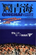 驴行天下  青海 封面