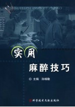实用麻醉技巧 封面