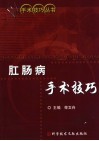 肛肠病手术技巧 封面