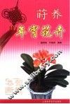 莳养年宵花卉 封面
