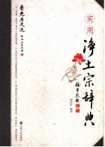 实用净土宗词典 封面