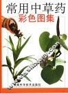 常用中草药彩色图集 封面
